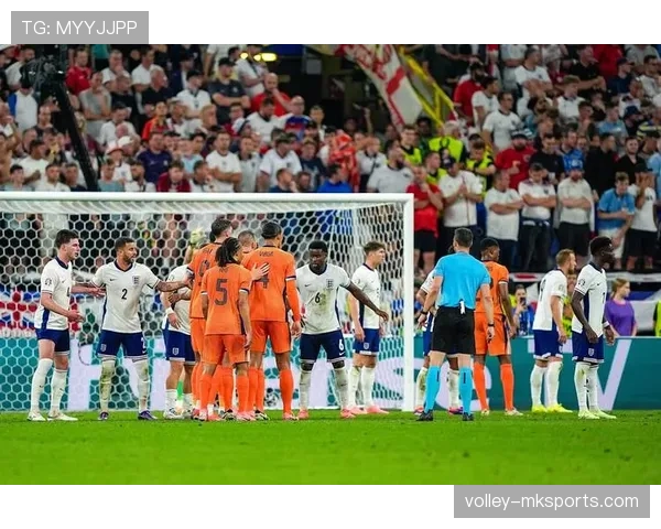 塞尔维亚逆转取胜，欧洲杯预选赛表现抢眼成功晋级