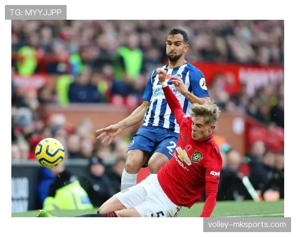 布莱顿阵容深度